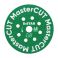 Timanttilaikka Distar 45x0,8x4x5,8 mm MasterCUT